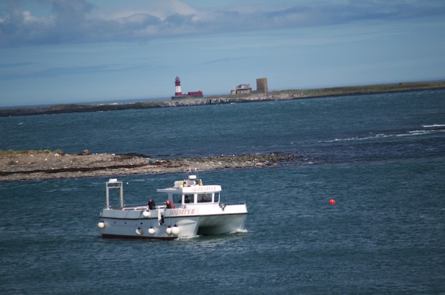 Serenity in the bay at Inner Farne, Northumberland